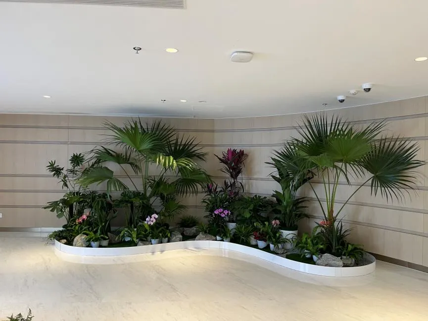 宁波江北绿化修剪价格实惠